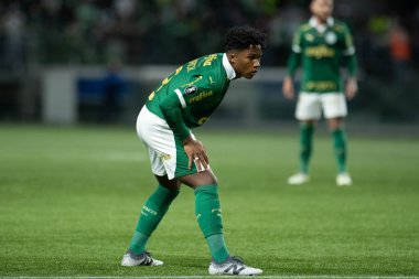 Sao Paulo (SP), 05 / 15 / 2024 - LIBERTADORES vs PALMEIRAS Sao Paulo-SP, bu Çarşamba akşamı, 15 Mayıs 2024. 