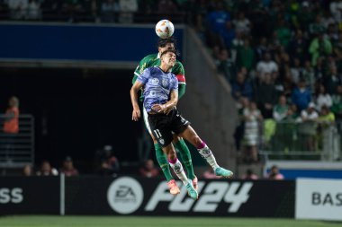 Sao Paulo (SP), 05 / 15 / 2024 - LIBERTADORES vs PALMEIRAS Sao Paulo-SP, bu Çarşamba akşamı, 15 Mayıs 2024. 