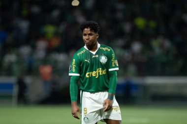 Sao Paulo (SP), 05 / 15 / 2024 - LIBERTADORES vs PALMEIRAS Sao Paulo-SP, bu Çarşamba akşamı, 15 Mayıs 2024. 