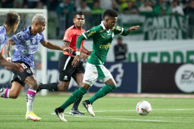 Sao Paulo (SP), 05 / 15 / 2024 - LIBERTADORES vs PALMEIRAS Sao Paulo-SP, bu Çarşamba akşamı, 15 Mayıs 2024. 