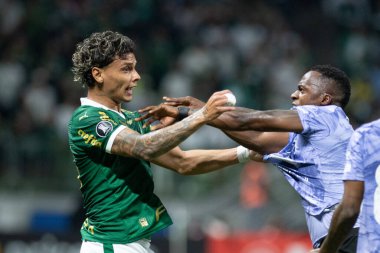Sao Paulo (SP), 05 / 15 / 2024 - LIBERTADORES vs PALMEIRAS Sao Paulo-SP, bu Çarşamba akşamı, 15 Mayıs 2024. 