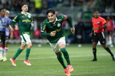 Sao Paulo (SP), 05 / 15 / 2024 - LIBERTADORES vs PALMEIRAS Sao Paulo-SP, bu Çarşamba akşamı, 15 Mayıs 2024. 