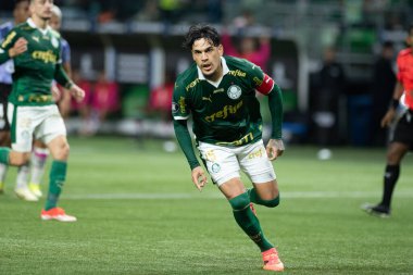 Sao Paulo (SP), 05 / 15 / 2024 - LIBERTADORES vs PALMEIRAS Sao Paulo-SP, bu Çarşamba akşamı, 15 Mayıs 2024. 