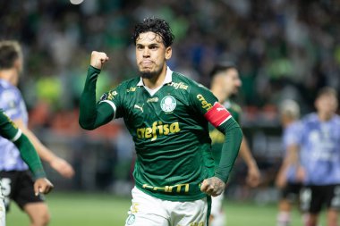 Sao Paulo (SP), 05 / 15 / 2024 - LIBERTADORES vs PALMEIRAS Sao Paulo-SP, bu Çarşamba akşamı, 15 Mayıs 2024. 