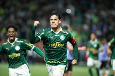 Sao Paulo (SP), 05 / 15 / 2024 - LIBERTADORES vs PALMEIRAS Sao Paulo-SP, bu Çarşamba akşamı, 15 Mayıs 2024. 
