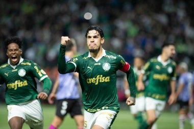 Sao Paulo (SP), 05 / 15 / 2024 - LIBERTADORES vs PALMEIRAS Sao Paulo-SP, bu Çarşamba akşamı, 15 Mayıs 2024. 