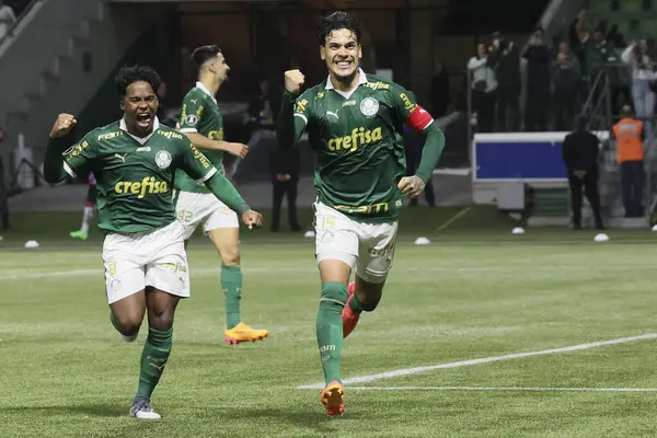 Sao Paulo (SP), 05 / 15 / 2024 - LIBERTADORES vs PALMEIRAS Sao Paulo-SP, bu Çarşamba akşamı, 15 Mayıs 2024. 