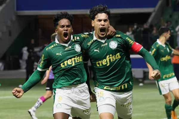 Sao Paulo (SP), 05 / 15 / 2024 - LIBERTADORES vs PALMEIRAS Sao Paulo-SP, bu Çarşamba akşamı, 15 Mayıs 2024. 