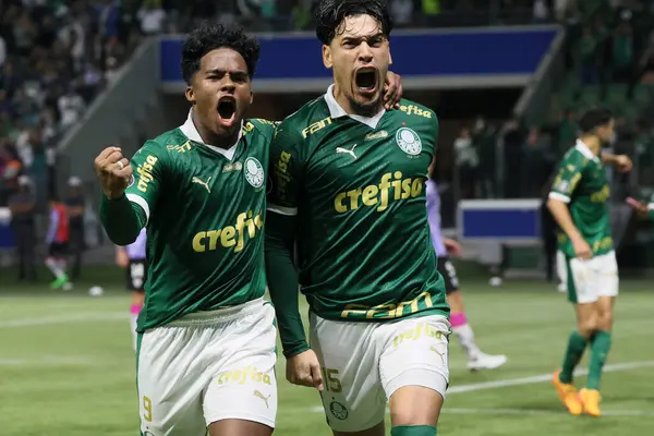 Sao Paulo (SP), 05 / 15 / 2024 - LIBERTADORES vs PALMEIRAS Sao Paulo-SP, bu Çarşamba akşamı, 15 Mayıs 2024. 