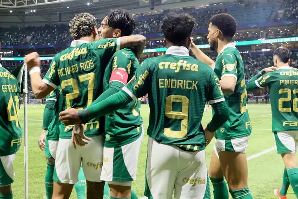 Sao Paulo (SP), 05 / 15 / 2024 - LIBERTADORES vs PALMEIRAS Sao Paulo-SP, bu Çarşamba akşamı, 15 Mayıs 2024. 