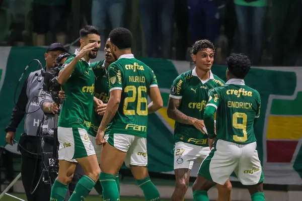 Sao Paulo (SP), 05 / 15 / 2024 - LIBERTADORES vs PALMEIRAS Sao Paulo-SP, bu Çarşamba akşamı, 15 Mayıs 2024. 