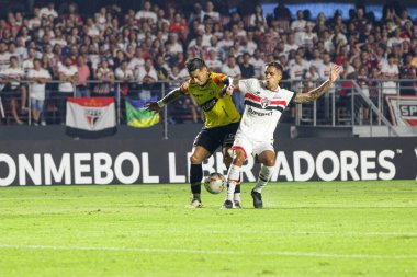 Sao Paulo (SP), Brezilya 05 / 16 / 2024 - LIBERTADORES / SAO PAULO SP, bu Perşembe akşamı, 16 Mayıs 2024. 