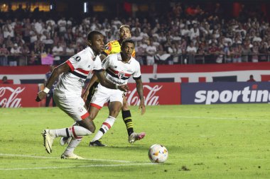 Sao Paulo (SP), Brezilya 05 / 16 / 2024 - LIBERTADORES / SAO PAULO SP, bu Perşembe akşamı, 16 Mayıs 2024. 