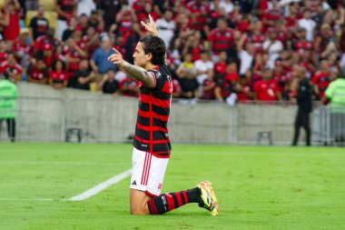 Rio de Janeiro (RJ), 28 / 05 / 2024 Oyuncu Pedro, grup aşamaları için geçerli olan Flamengo x Milonarios arasında oynanan maçta golünü kutluyor. Libertadores da America 2024, Mario Filho Stadyumu 'nda yapıldı. 
