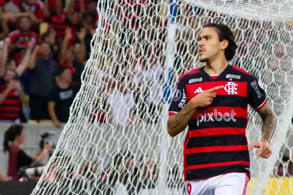 Rio de Janeiro (RJ), 28 / 05 / 2024 Pedro do Flamengo 'nun golünün kutlaması - Flamengo x Millonarios arasındaki maç, grup aşamaları için geçerli. Libertadores da America 2024, Mario Filho Stadyumu 'nda yapıldı. 