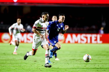 Sao Paulo (SP), Brezilya 05 / 29 / 2024 - Copa Libertadores de America grubunun altıncı turu, 29 Mayıs 2024 Çarşamba akşamı Morumbis Stadyumu 'nda düzenlendi..