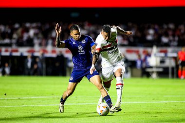 Sao Paulo (SP), Brezilya 05 / 29 / 2024 - Copa Libertadores de America grubunun altıncı turu, 29 Mayıs 2024 Çarşamba akşamı Morumbis Stadyumu 'nda düzenlendi..