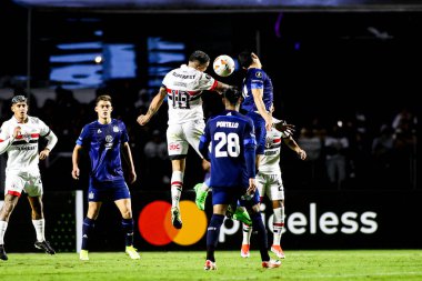 Sao Paulo (SP), Brezilya 05 / 29 / 2024 - Copa Libertadores de America grubunun altıncı turu, 29 Mayıs 2024 Çarşamba akşamı Morumbis Stadyumu 'nda düzenlendi..