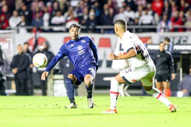 Sao Paulo (SP), Brezilya 05 / 29 / 2024 - Copa Libertadores de America grubunun altıncı turu, 29 Mayıs 2024 Çarşamba akşamı Morumbis Stadyumu 'nda düzenlendi..