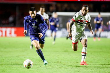 Sao Paulo (SP), Brezilya 05 / 29 / 2024 - Copa Libertadores de America grubunun altıncı turu, 29 Mayıs 2024 Çarşamba akşamı Morumbis Stadyumu 'nda düzenlendi..