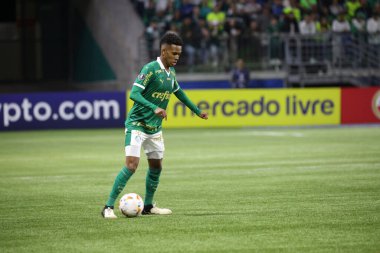 Sao Paulo (SP), Brezilya 05 / 30 / 2024 - Copa Conmebol Libertadores de Futebol 'un LIBERTADORES-PALMEIRAS maç grubu sahnesi, 30 Mayıs 2024 Perşembe akşamı, Sao Paulo' daki Allianz Parque 'da. 