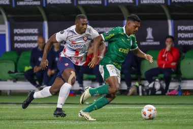 Sao Paulo (SP), Brezilya 05 / 30 / 2024 - Copa Conmebol Libertadores de Futebol 'un LIBERTADORES-PALMEIRAS maç grubu sahnesi, 30 Mayıs 2024 Perşembe akşamı, Sao Paulo' daki Allianz Parque 'da. 