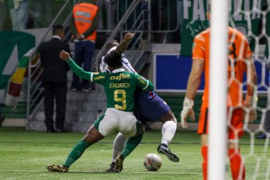 Sao Paulo (SP), Brezilya 05 / 30 / 2024 - Copa Conmebol Libertadores de Futebol 'un LIBERTADORES-PALMEIRAS maç grubu sahnesi, 30 Mayıs 2024 Perşembe akşamı, Sao Paulo' daki Allianz Parque 'da. 