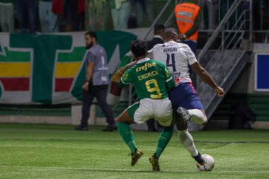 Sao Paulo (SP), Brezilya 05 / 30 / 2024 - Copa Conmebol Libertadores de Futebol 'un LIBERTADORES-PALMEIRAS maç grubu sahnesi, 30 Mayıs 2024 Perşembe akşamı, Sao Paulo' daki Allianz Parque 'da. 
