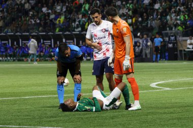 Sao Paulo (SP), Brezilya 05 / 30 / 2024 - Copa Conmebol Libertadores de Futebol 'un LIBERTADORES-PALMEIRAS maç grubu sahnesi, 30 Mayıs 2024 Perşembe akşamı, Sao Paulo' daki Allianz Parque 'da. 