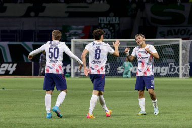 Sao Paulo (SP), Brezilya 05 / 30 / 2024 - Copa Conmebol Libertadores de Futebol 'un LIBERTADORES-PALMEIRAS maç grubu sahnesi, 30 Mayıs 2024 Perşembe akşamı, Sao Paulo' daki Allianz Parque 'da. 