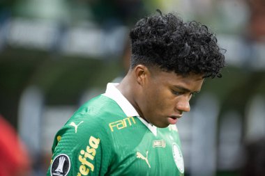 Sao Paulo (SP), 05 / 30 / 2024 - LIBERTADORES maçına karşı PALMEIRAS, 30 Mayıs 2024, Allianz Parque, Sao Paulo-SP.