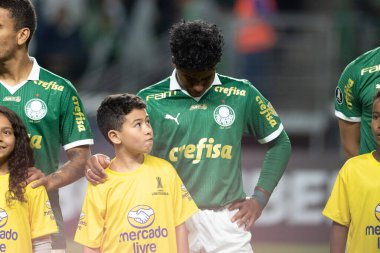 Sao Paulo (SP), 05 / 30 / 2024 - LIBERTADORES maçına karşı PALMEIRAS, 30 Mayıs 2024, Allianz Parque, Sao Paulo-SP.