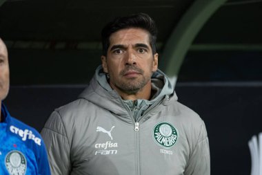 Sao Paulo (SP), 05 / 30 / 2024 - LIBERTADORES maçına karşı PALMEIRAS, 30 Mayıs 2024, Allianz Parque, Sao Paulo-SP.