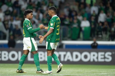 Sao Paulo (SP), 05 / 30 / 2024 - LIBERTADORES maçına karşı PALMEIRAS, 30 Mayıs 2024, Allianz Parque, Sao Paulo-SP.