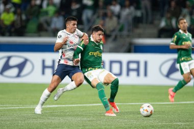 Sao Paulo (SP), 05 / 30 / 2024 - LIBERTADORES maçına karşı PALMEIRAS, 30 Mayıs 2024, Allianz Parque, Sao Paulo-SP.