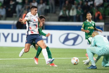 Sao Paulo (SP), 05 / 30 / 2024 - LIBERTADORES maçına karşı PALMEIRAS, 30 Mayıs 2024, Allianz Parque, Sao Paulo-SP.