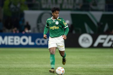 Sao Paulo (SP), 05 / 30 / 2024 - LIBERTADORES maçına karşı PALMEIRAS, 30 Mayıs 2024, Allianz Parque, Sao Paulo-SP.