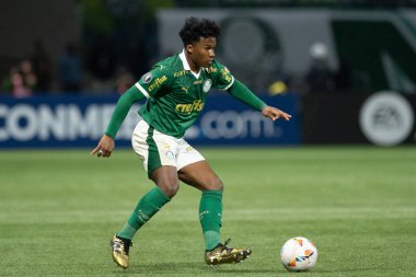 Sao Paulo (SP), 05 / 30 / 2024 - LIBERTADORES maçına karşı PALMEIRAS, 30 Mayıs 2024, Allianz Parque, Sao Paulo-SP.