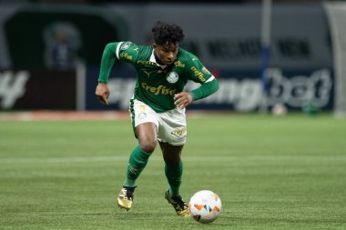 Sao Paulo (SP), 05 / 30 / 2024 - LIBERTADORES maçına karşı PALMEIRAS, 30 Mayıs 2024, Allianz Parque, Sao Paulo-SP.