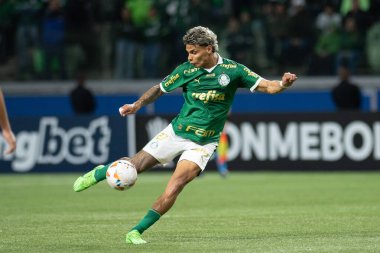 Sao Paulo (SP), 05 / 30 / 2024 - LIBERTADORES maçına karşı PALMEIRAS, 30 Mayıs 2024, Allianz Parque, Sao Paulo-SP.