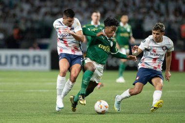Sao Paulo (SP), 05 / 30 / 2024 - LIBERTADORES maçına karşı PALMEIRAS, 30 Mayıs 2024, Allianz Parque, Sao Paulo-SP.