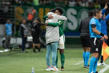 Sao Paulo (SP), 05 / 30 / 2024 - LIBERTADORES maçına karşı PALMEIRAS, 30 Mayıs 2024, Allianz Parque, Sao Paulo-SP.