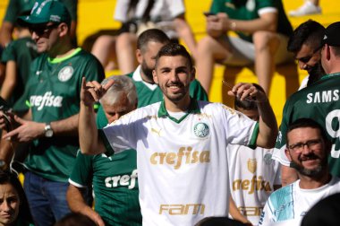 CRICIUMA, (SC), 06 / 02 / 2024 CRICIUMA / PALMEIRAS / BRAZILEIRO-Palmeiras taraftarları Criciuma ve Palmeiras arasında oynanan Brezilya Serisi A Şampiyonası 'nın yedinci turunda, bu 2 Haziran 2024' de Heriberto Hulse Stadyumu 'nda oynanan karşılaşma sırasında 