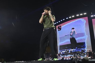 SAO PAULO (SP), Brezilya 06 / 09 / 2024 - Şarkıcı Ze Felipe, Salve o Sul Festivali sırasında, çok sayıda şarkıcının yer aldığı etkinlikte Rio Grande do Sul 'daki selden etkilenenler için kaynak toplanması amaçlanıyor