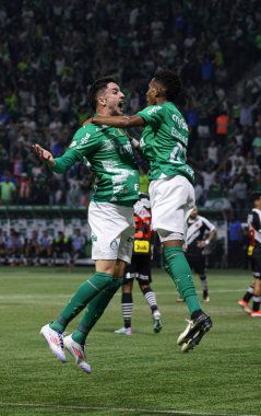 Sao Paulo (SP), 06 / 13 / 2024 - BRASILEIRO / PALMEIRAS Maçı, 13 Haziran 2024, Allianz Parque, Sao Paulo-SP. 