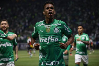 Sao Paulo (SP), 06 / 13 / 2024 - BRASILEIRO / PALMEIRAS Maçı, 13 Haziran 2024, Allianz Parque, Sao Paulo-SP