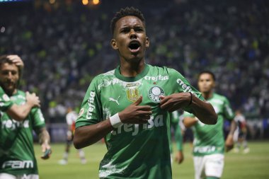 Sao Paulo (SP), 06 / 13 / 2024 - BRASILEIRO / PALMEIRAS Maçı, 13 Haziran 2024, Allianz Parque, Sao Paulo-SP