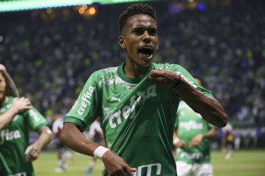 Sao Paulo (SP), 06 / 13 / 2024 - BRASILEIRO / PALMEIRAS Maçı, 13 Haziran 2024, Allianz Parque, Sao Paulo-SP