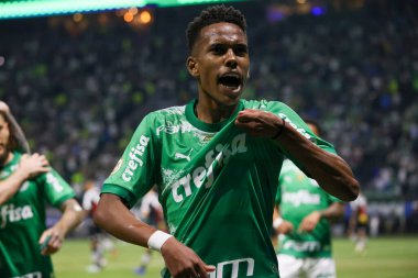 Sao Paulo (SP), 06 / 13 / 2024 - BRASILEIRO / PALMEIRAS Maçı, 13 Haziran 2024, Allianz Parque, Sao Paulo-SP