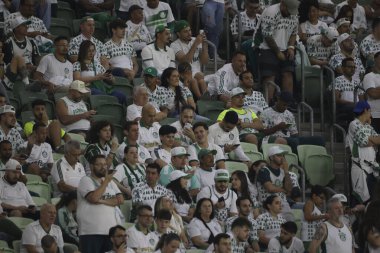 Sao Paulo (SP), 06 / 13 / 2024 - BRASILEIRO / PALMEIRAS Maçı, 13 Haziran 2024, Allianz Parque, Sao Paulo-SP. 